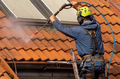 Démoussage et hydrofuge de toiture à l'Échelle-Saint-Aurin